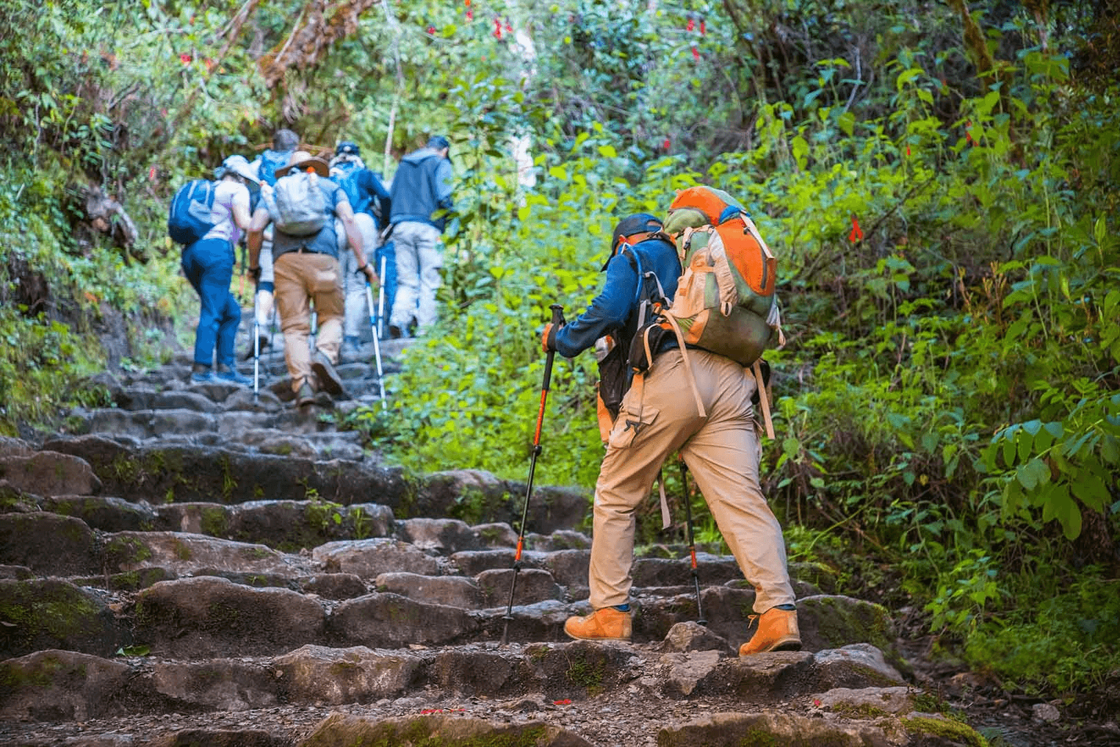 Machu Picchu