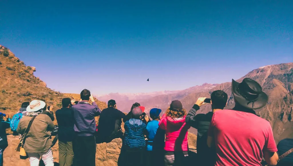 Turistas observan cóndores volando en el Cañón del Colca
