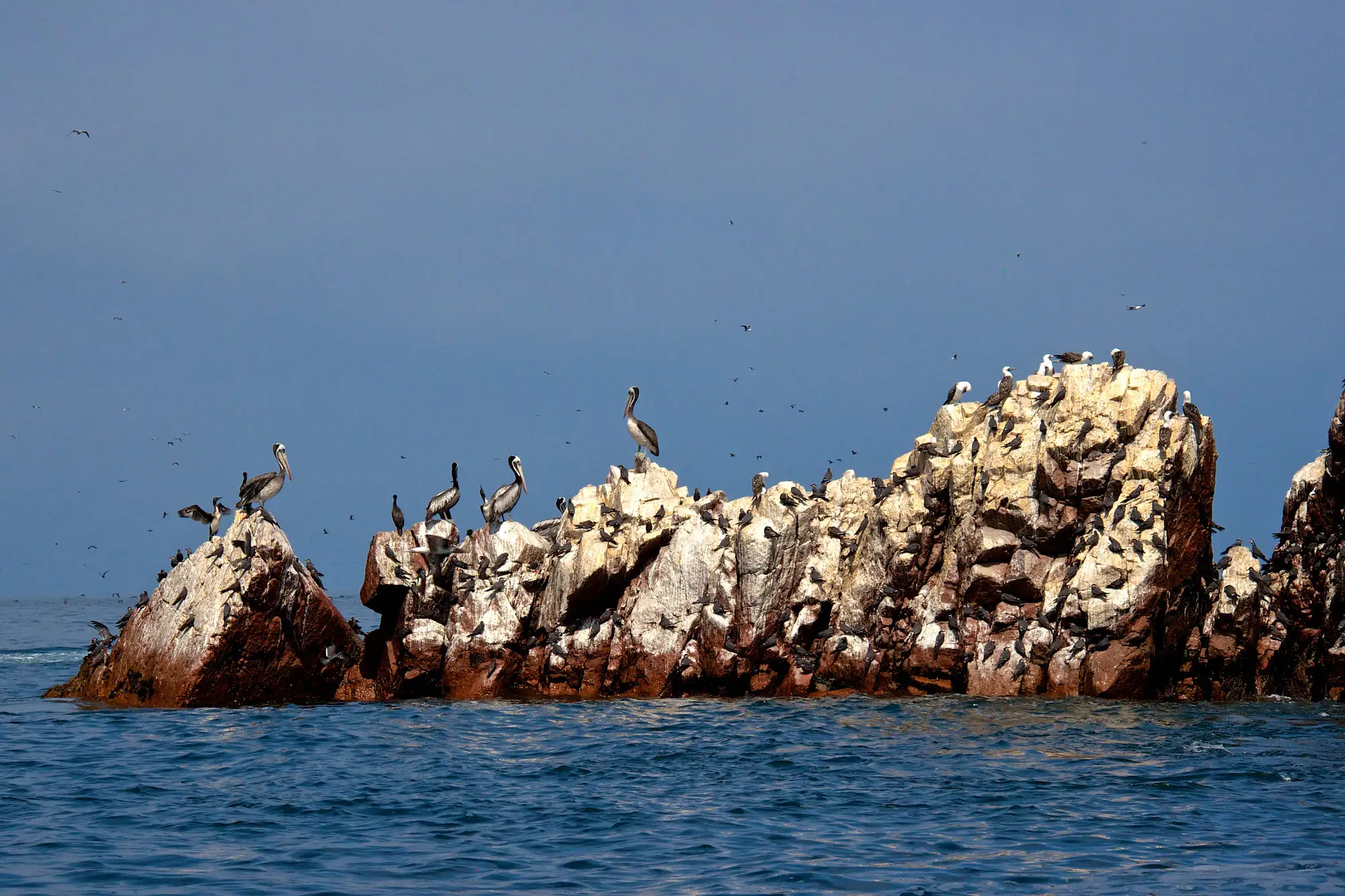 Tour Islas Ballestas, Viñedo de Ica y Huacachina