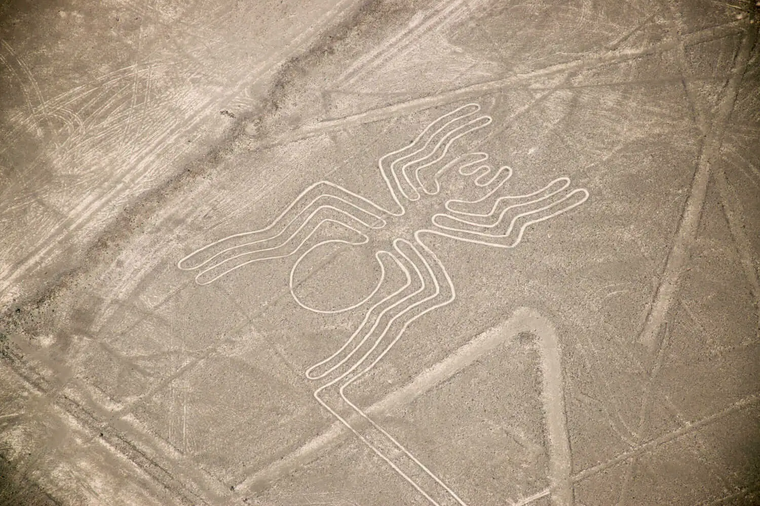 Tour Sobrevuelo en las Líneas de Nazca