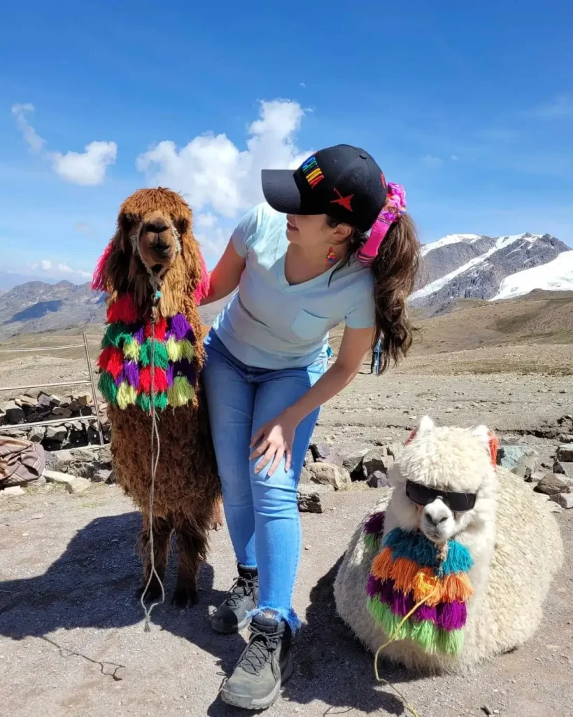 Turista posando com alpacas decoradas na Montaña de Colores, Vinicunca.