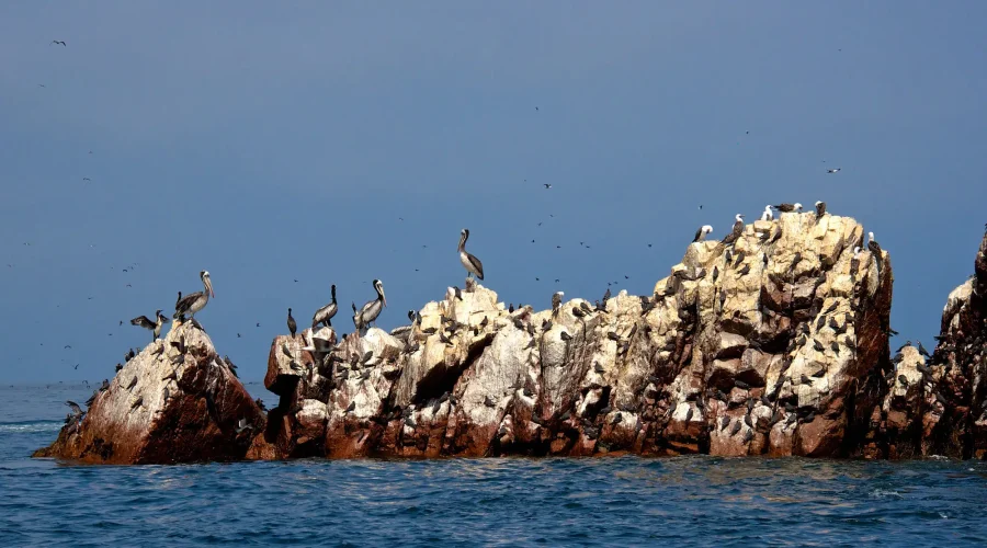 Islas Balletas - Group Travel Perú