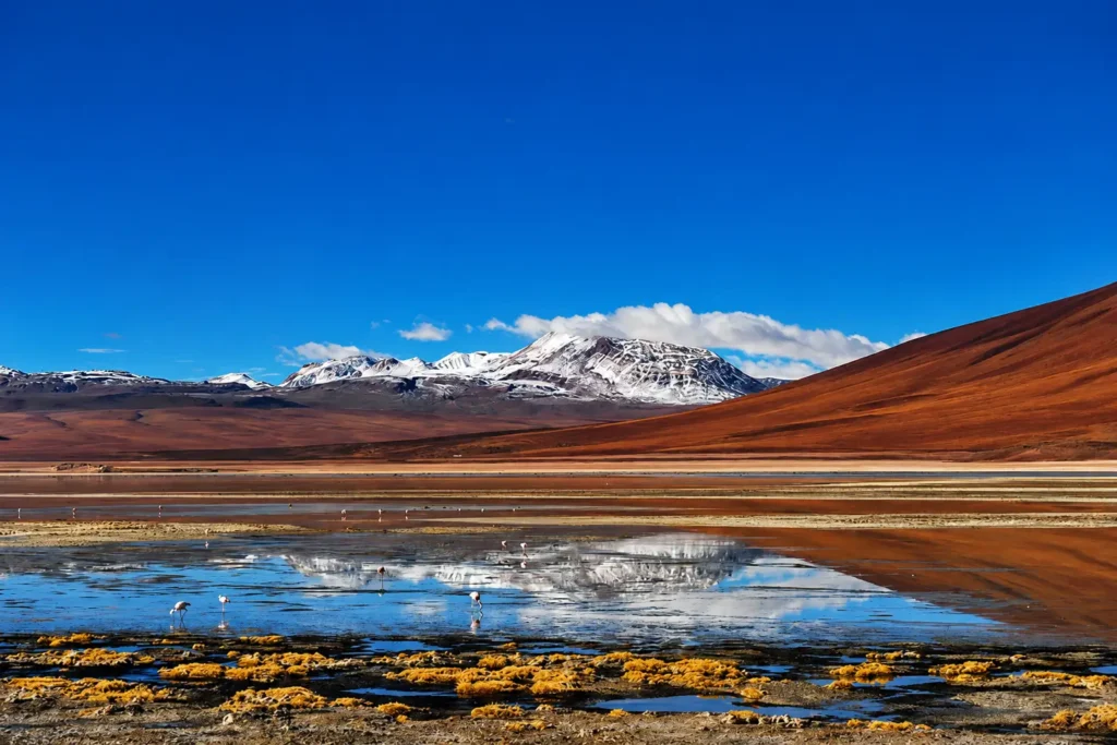Laguna Blanca en el Altiplano Boliviano