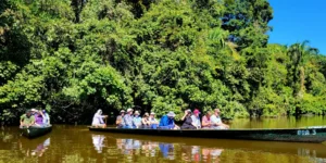 Tour Full Day Lago Sandoval: experiencia completa en la selva amazónica
