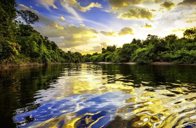 Vive la Aventura en la Selva Amazónica Vive la Aventura en la Selva Amazónica
