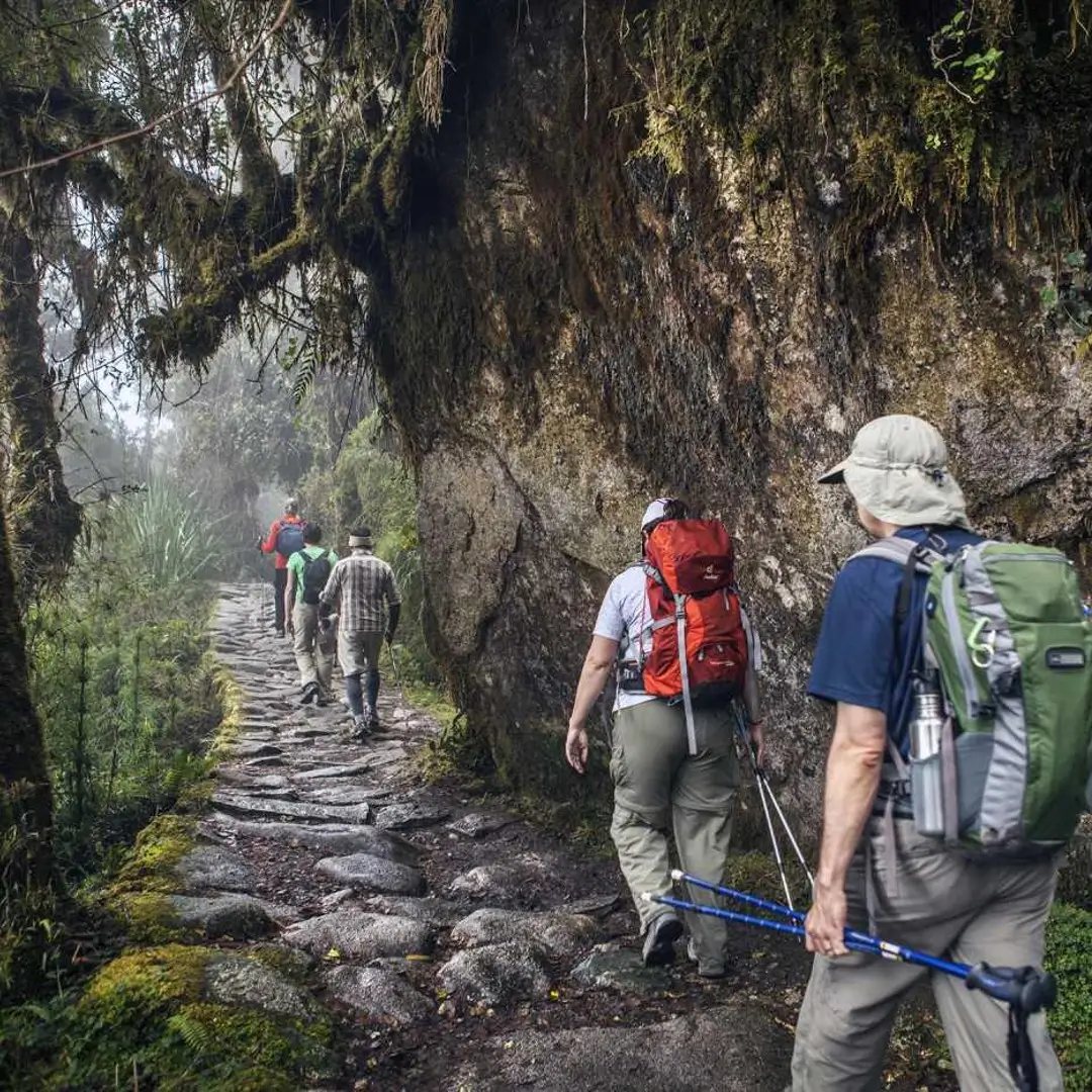 Camino inca piedras resbaladizas-bosque nublado
