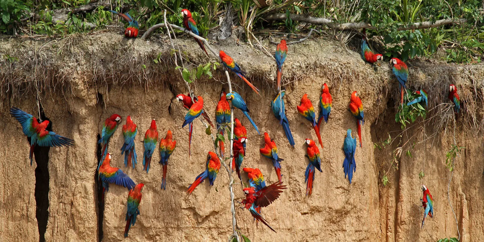 Excursão de dia inteiro ao Lago Sandoval