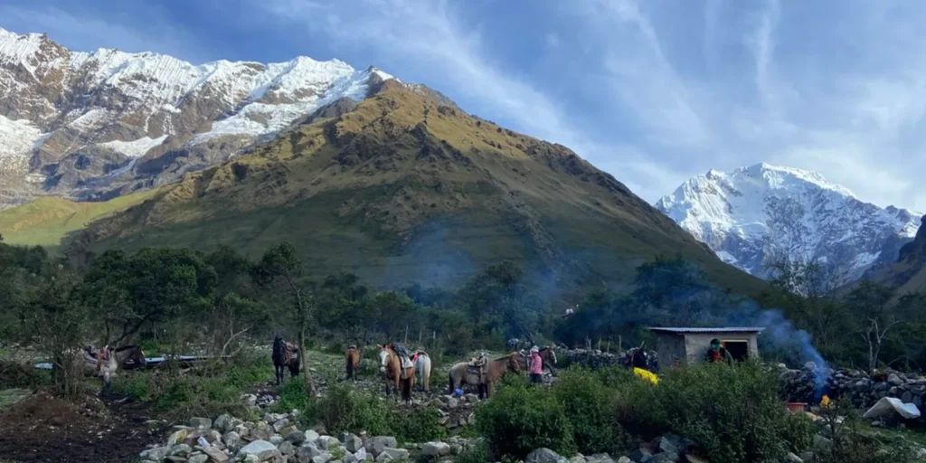 Caballos y personas acampando al pie de montañas nevadas en la ruta Salkantay, Perú.