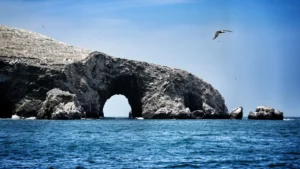 Tours em Ica e Paracas: Islas Ballestas, Huacachina e Experiências Personalizadas