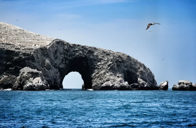 Tours en Ica y Paracas: Islas Ballestas, Huacachina y Experiencias a Medida